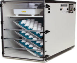 Gqf company incubators and brooders for eggs hatching